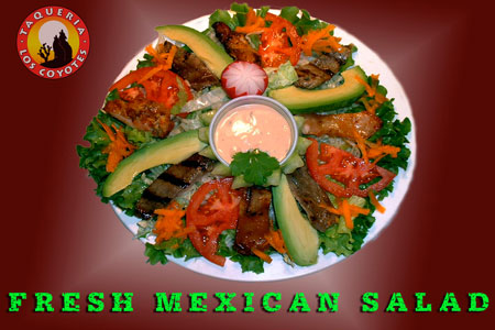 Fresh Mexican Saldad
